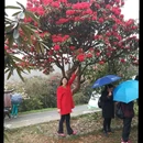 遵义旅游 缩略图 3