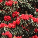 毕节旅游 缩略图 4