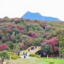遵义旅游 缩略图 11