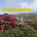 毕节旅游 缩略图 1