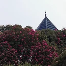 遵义旅游 缩略图 5