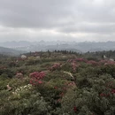 毕节旅游 缩略图 5