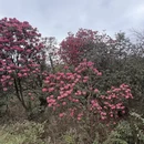 毕节旅游 缩略图 4