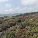 毕节旅游 缩略图 3
