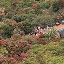 毕节旅游 缩略图 6