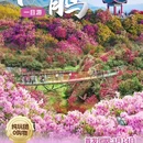 遵义旅游 缩略图 12
