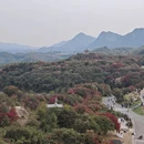 遵义旅游 缩略图 6