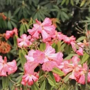 毕节旅游 缩略图 5