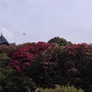 遵义旅游 缩略图 7