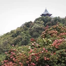 毕节旅游 缩略图 7