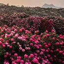毕节旅游 缩略图 1