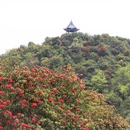毕节旅游 缩略图 8