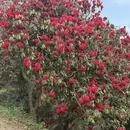 毕节旅游 缩略图 7