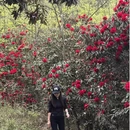 毕节旅游 缩略图 8