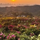 毕节旅游 缩略图 13
