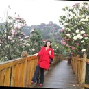 遵义旅游 缩略图 1
