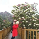 遵义旅游 缩略图 4