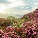 毕节旅游 缩略图 1