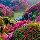 毕节旅游 缩略图 14