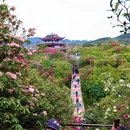 遵义旅游 缩略图 9