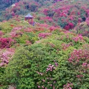 遵义旅游 缩略图 7