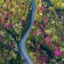 毕节旅游 缩略图 15