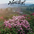 毕节旅游 缩略图 18