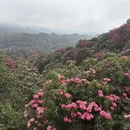 毕节旅游 缩略图 2