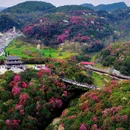 毕节旅游 缩略图 2