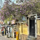 青岛旅游 缩略图 1