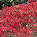 杭州旅游 缩略图 8