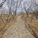 北京旅游 缩略图 15