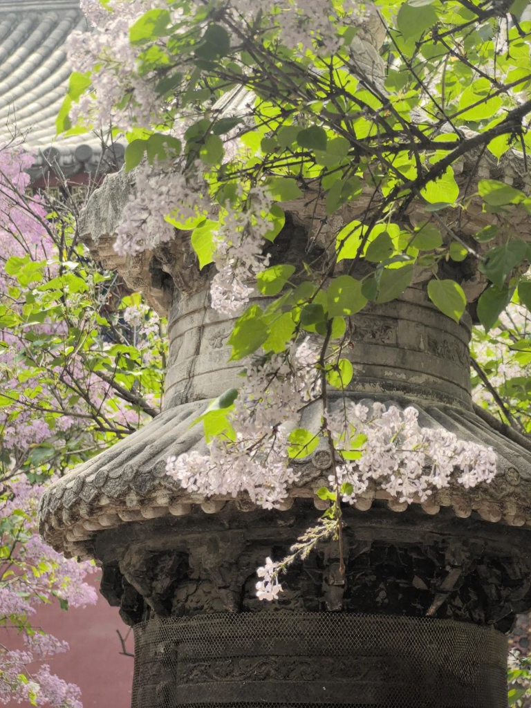 北京旅游