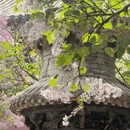 北京旅游 缩略图 1