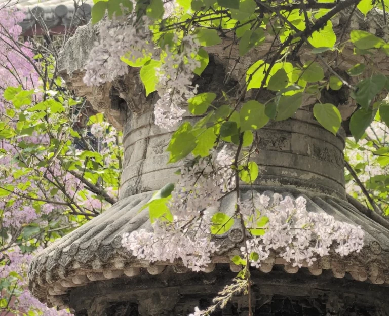 北京旅游 1