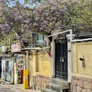 青岛旅游 缩略图 4