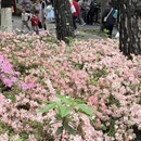 杭州旅游 缩略图 3