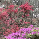 杭州旅游 缩略图 4
