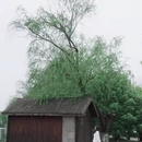 南昌旅游 缩略图 4