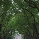 南昌旅游 缩略图 8