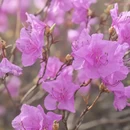 北京旅游 缩略图 5