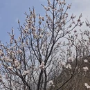 北京旅游 缩略图 8