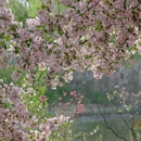 北京旅游 缩略图 14