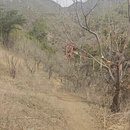 北京旅游 缩略图 11