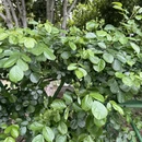 南昌旅游 缩略图 13