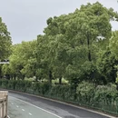 南昌旅游 缩略图 12