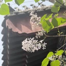 北京旅游 缩略图 3