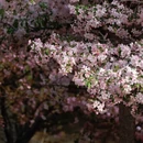 北京旅游 缩略图 11