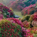 毕节旅游 缩略图 4