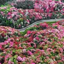 毕节旅游 缩略图 3